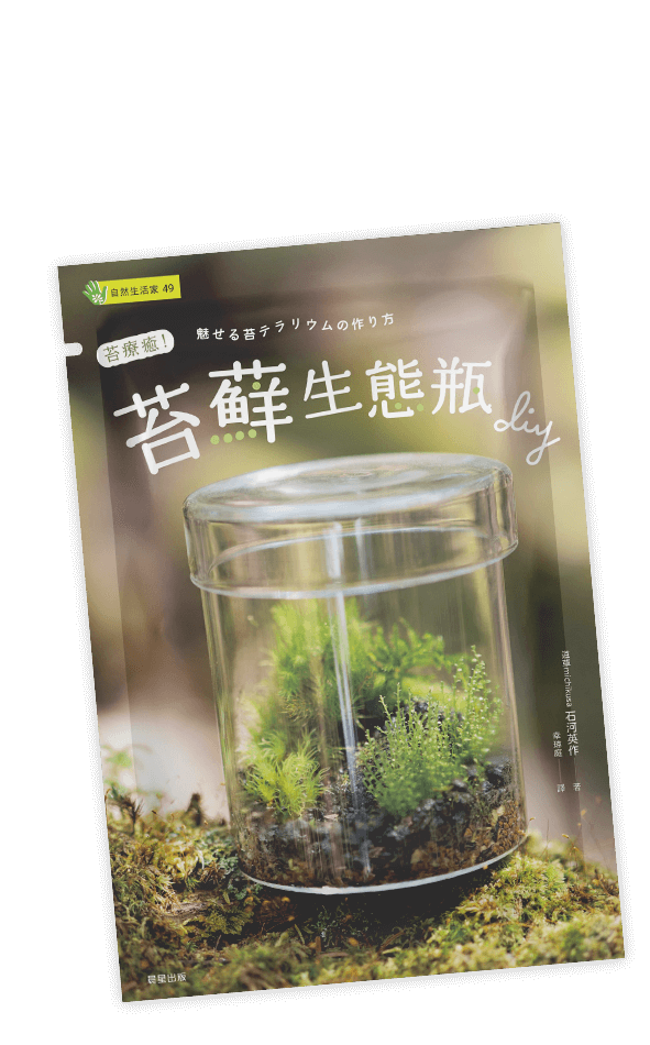 苔療癒！苔蘚生態瓶DIY