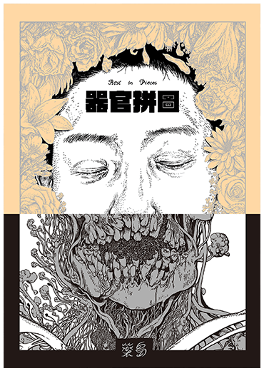 器官拼圖